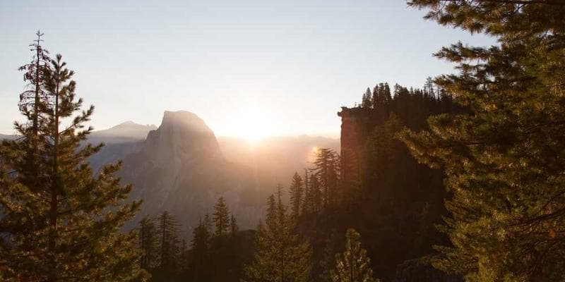 PDF Bookmarks: Creating Navigation for Long Documents