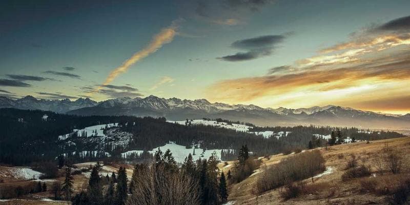 PDF Redaction: Permanently Removing Sensitive Information